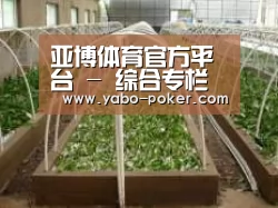 环境展示五