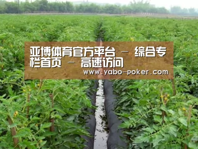 种植基地三