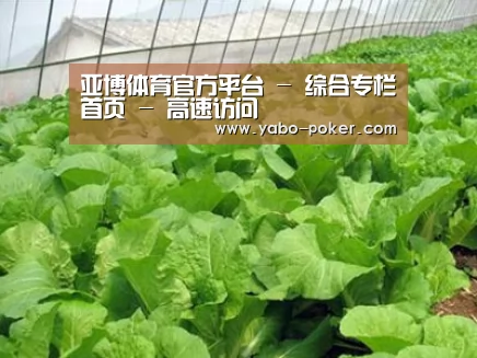种植基地一